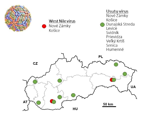 mapa rozmiestnenia